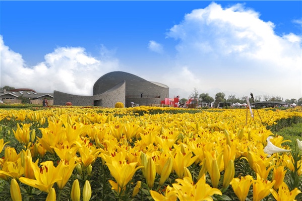 澶忔棩鐙傛鏉ヨ,澶忔棩鐙傛鐩涘