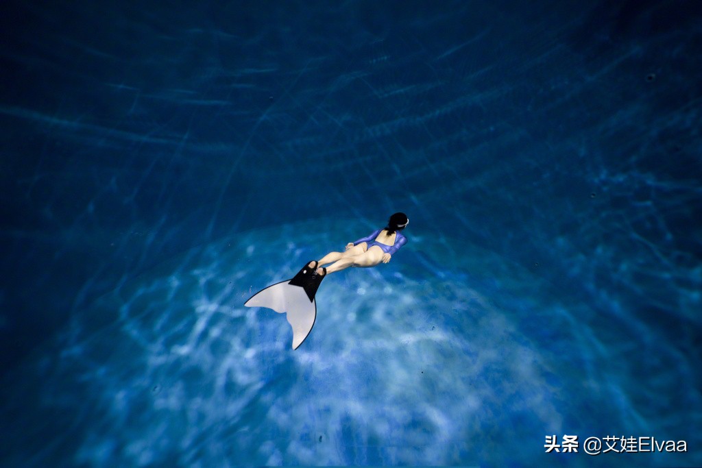 美人鱼潜水王子文,潜水王子文