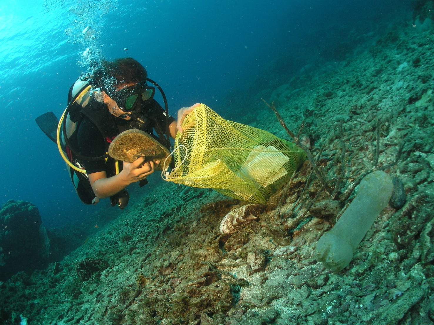 玻璃的危害是塑料的四倍,专家讲解塑料对人的危害