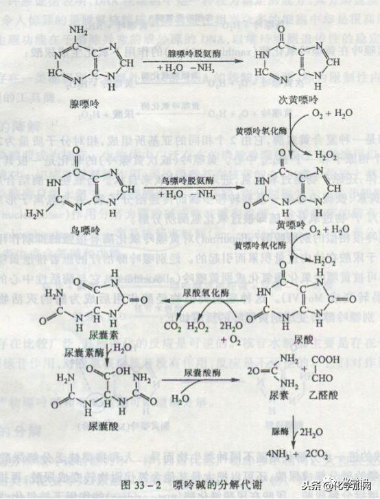 喝酒后手指关节疼怎么回事,喝酒对腿关节疼有影响吗