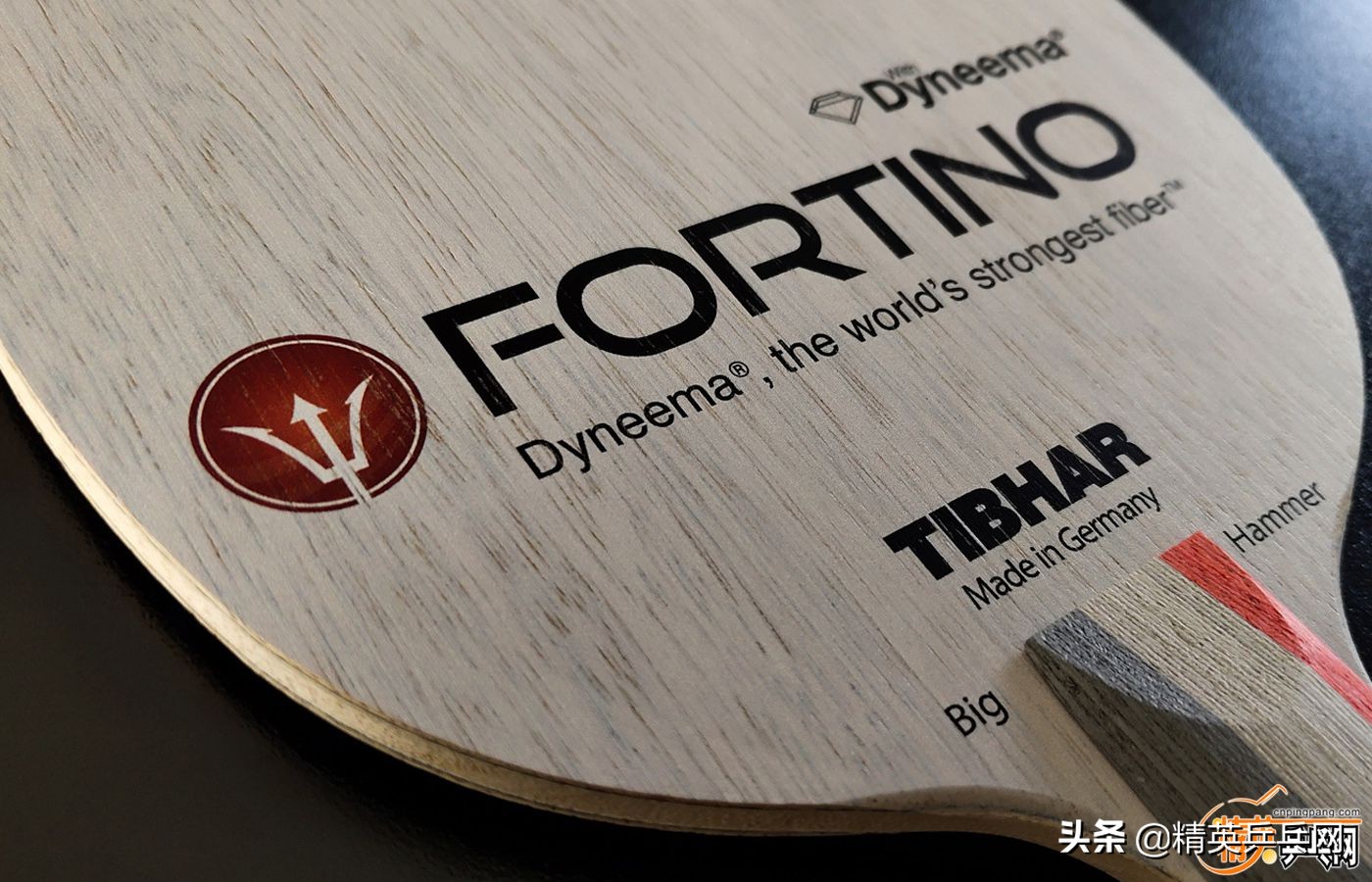 新纤维！新能量！萨姆索诺夫佛迪诺（Fortino）PRO终极甄选