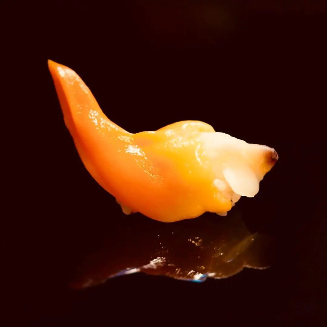 蛤蜊、蛏子、毛蚶、蚬子，那些好吃的小贝壳，今天一次搞清楚