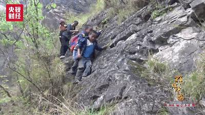 印度封国20天哭了，美国总统说了一句话......