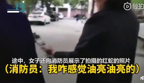 外卖龙虾段子搞笑,外卖的虾是不是都是冻虾