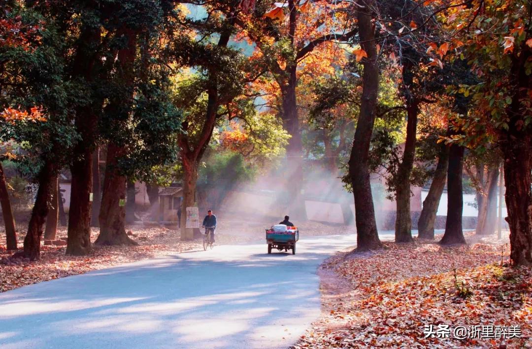 江南温泉第一,江南第一温泉