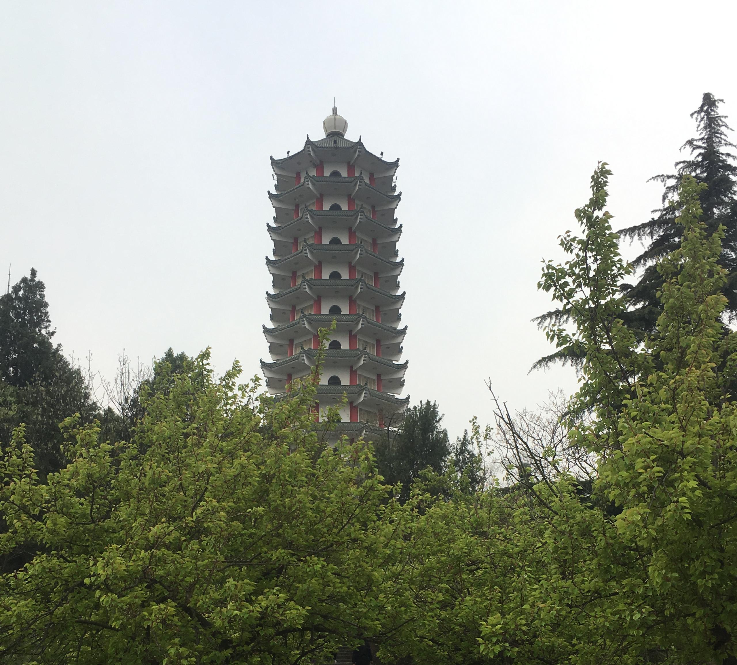 一则关于蒜薹的往事，曾被莫言写成小说，告诫要以群众利益为先