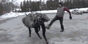 人工智能机器人觉醒对人类的威胁,人工智能机器人真的会取代人类吗