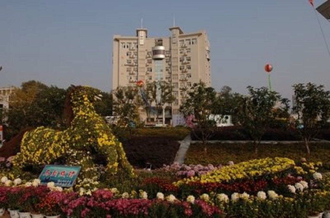 武汉理工大学优势学科、特色专业及报考注意事项