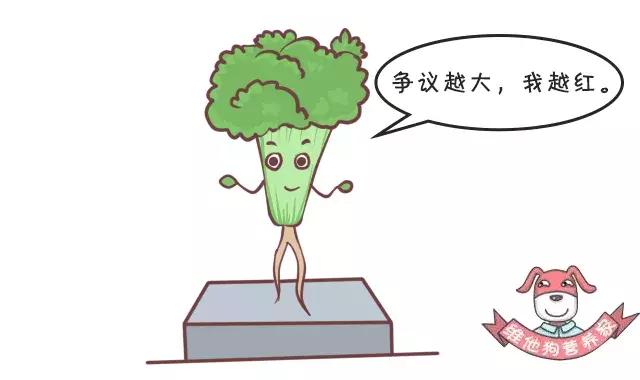 香菜、香椿……这些有味道的蔬菜,吃了有什么好处?