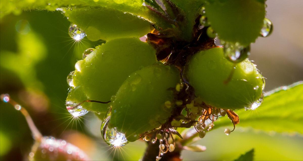 鎬庝箞瀹屾垚澶╁￥涔嬪埆浠诲姟,瀹屾垚澶╁￥涔嬪埆浠诲姟