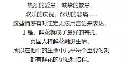 亚洲最大花市宛如仙境,中国最牛的花市