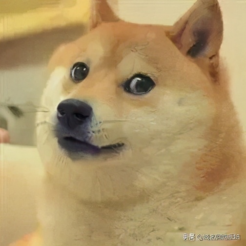 刘强东夫妇新公司,刘强东夫妇成立公司