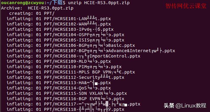 linux解压zip时换名字,linux解压zip文件命令