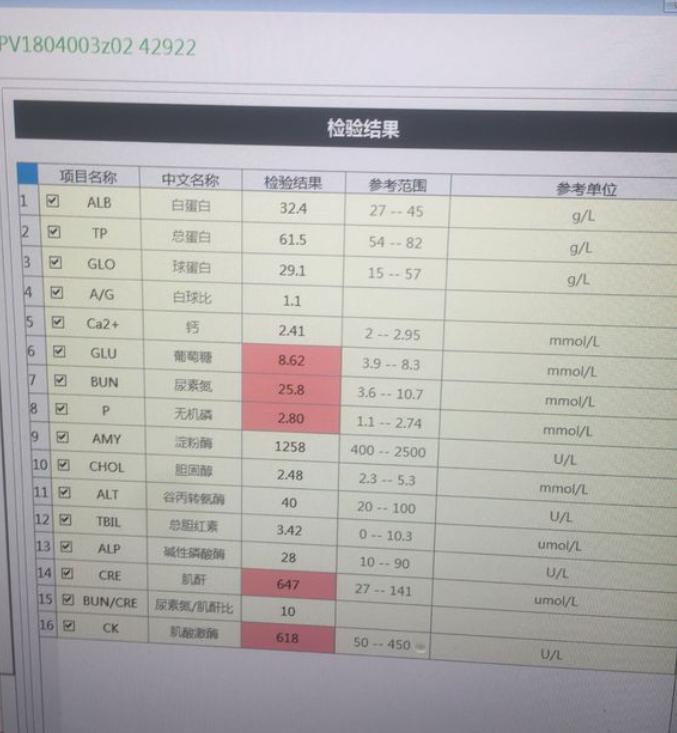 如何看待宠物看病贵,天津乖乖宠物医院看病贵吗