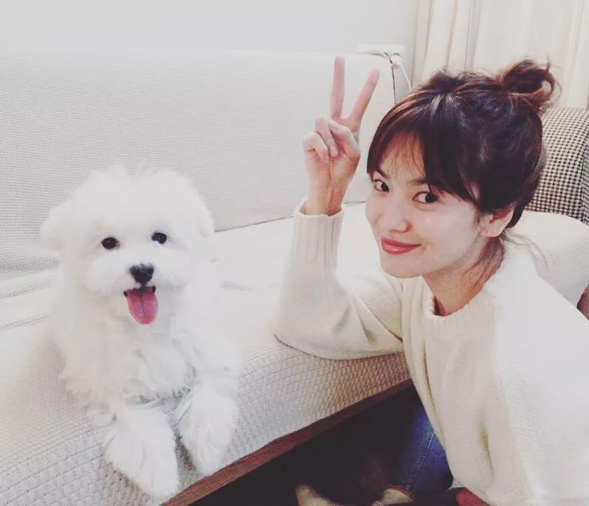 宋慧乔不老童颜的秘笈到底是什么,37岁宋慧乔无龄感究竟靠什么