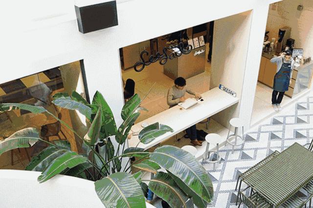 火爆全网咖啡,火爆全球的咖啡