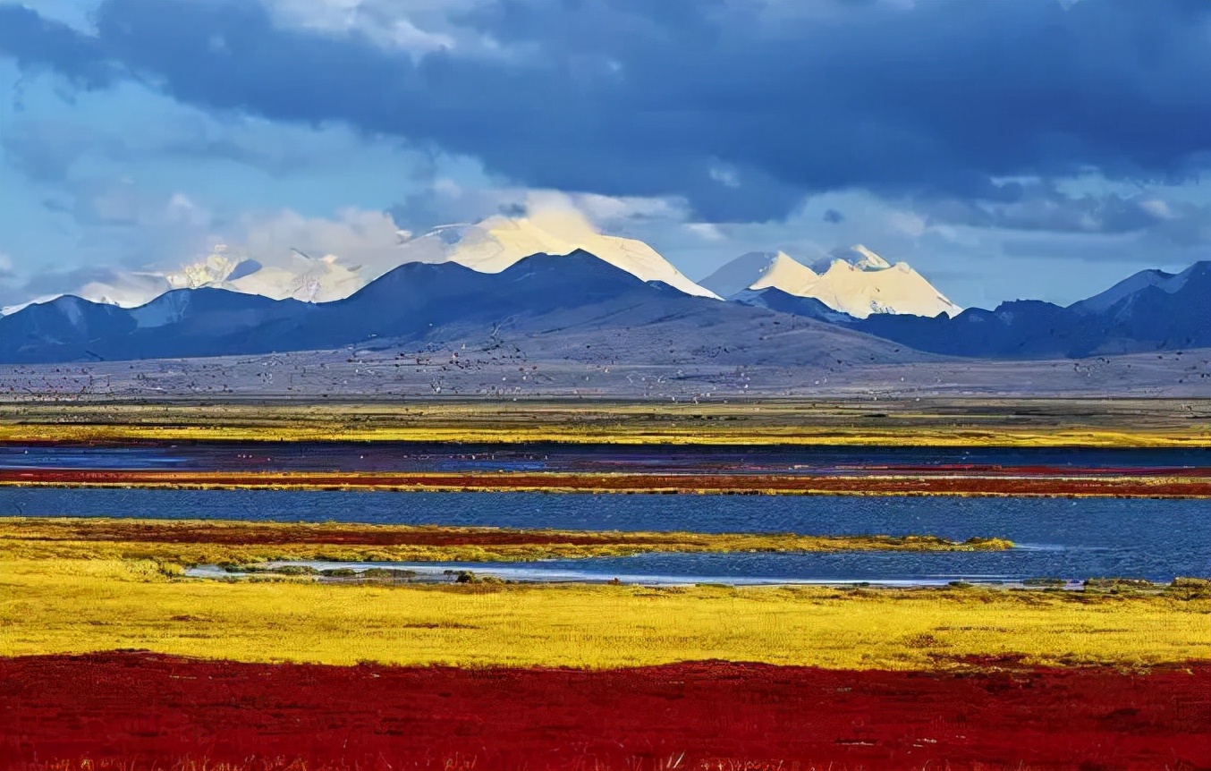 1011月错过它们，等于错过整个秋天！人少清净，随手一拍都是大片