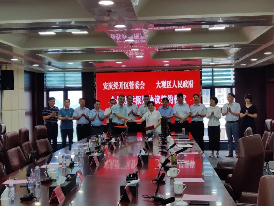 安庆绿地新里城高琦小学分校,高琦小学2018