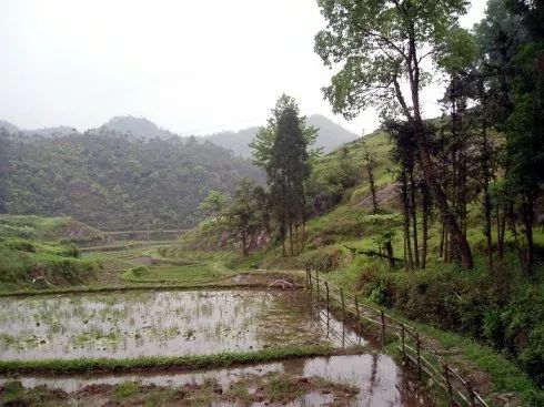 瓯窑遗址分布,苍南古遗址