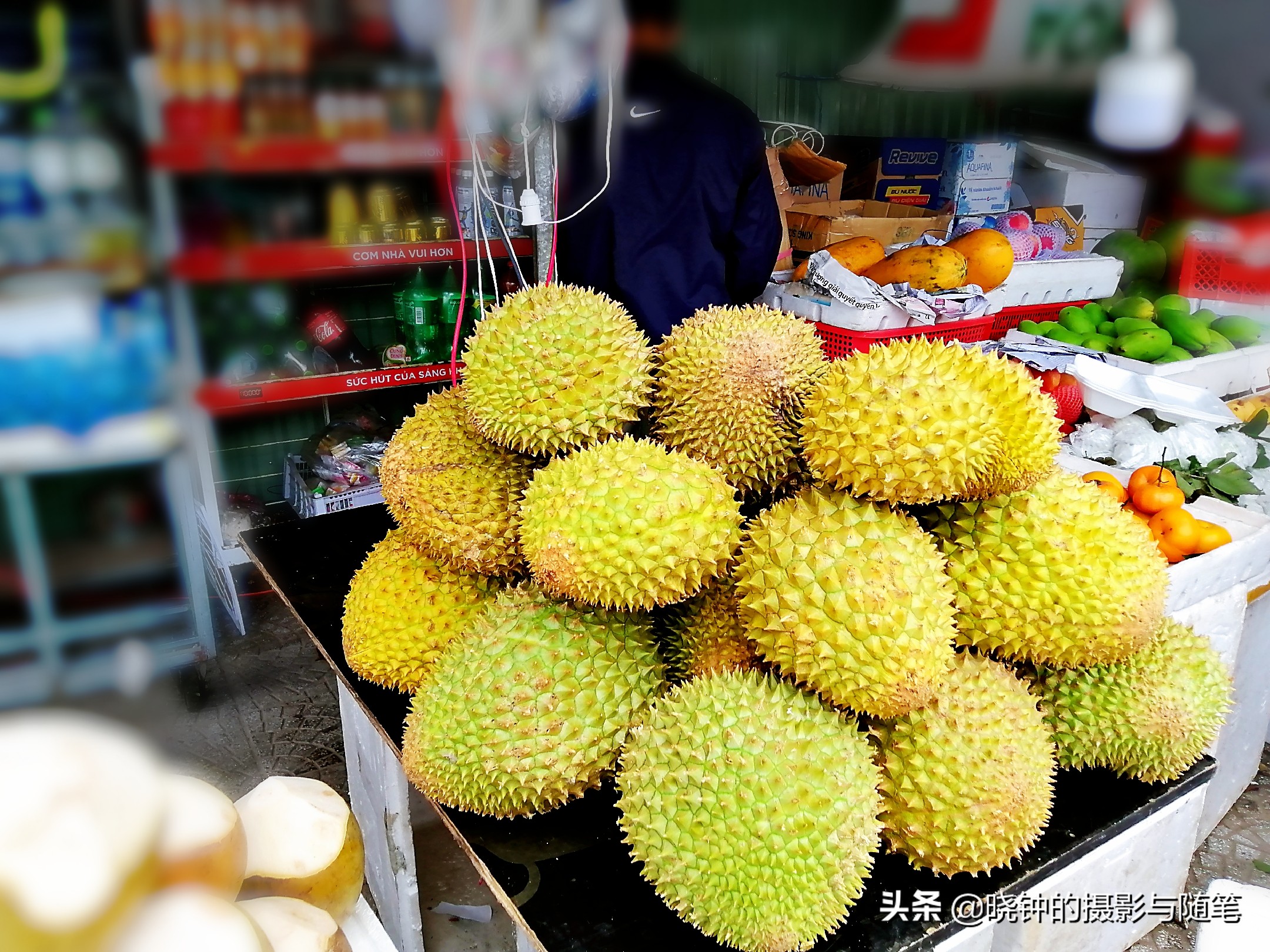 越南有啥水果品种好,越南有什么水果比较出名