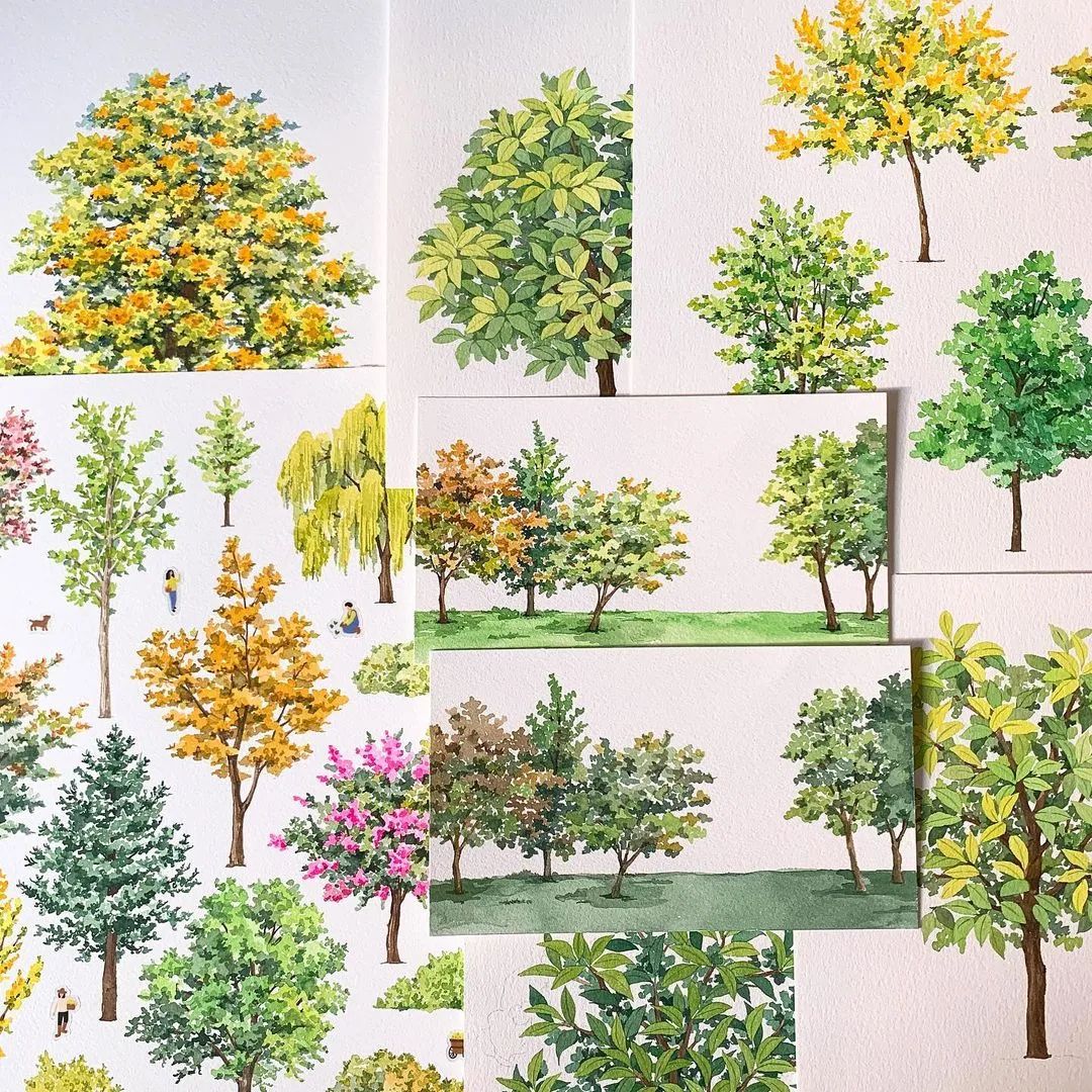 超美水彩画治愈,韩国女孩画画