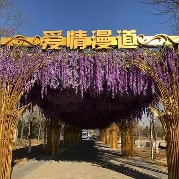 赴南湖之约,南湖之约蒙自