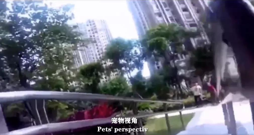 手机的全面屏摄像头,全面屏手机屏幕摄像头