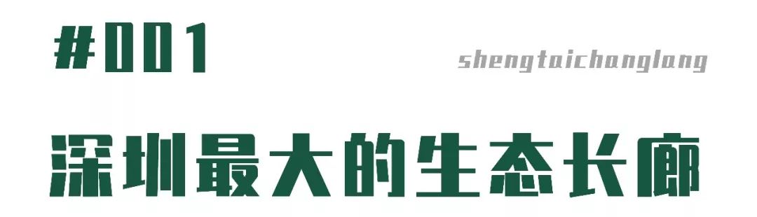深圳好玩景点地铁路线,深圳好玩免费景点地铁直达的