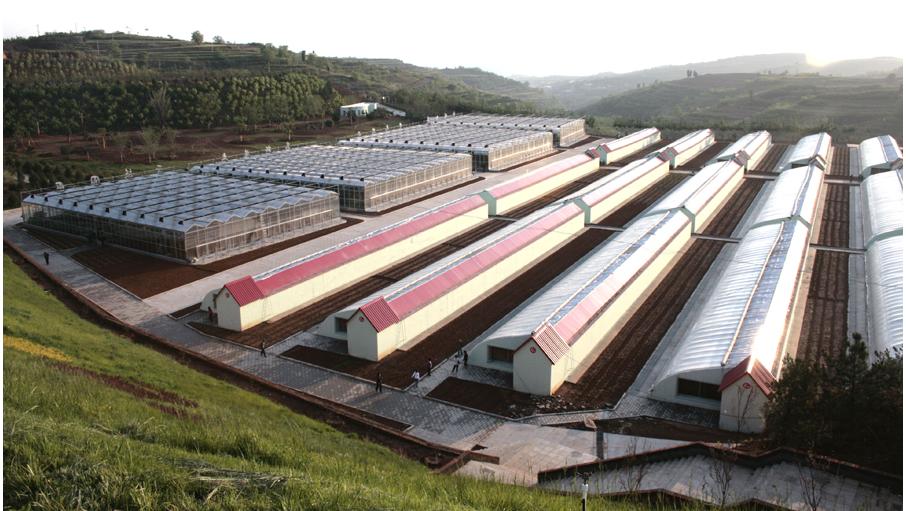 各种蔬菜大棚的种植时间和方法,蔬菜大棚种植技术主要注意哪些