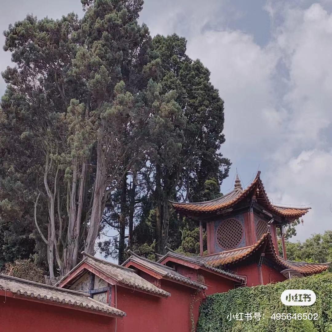 昆明避暑冷惨了外省人,昆明过冬真实感受