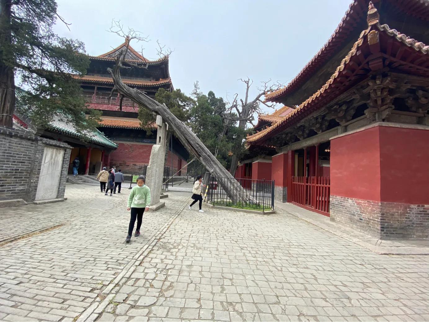 走进孔子的故乡山东曲阜孔庙