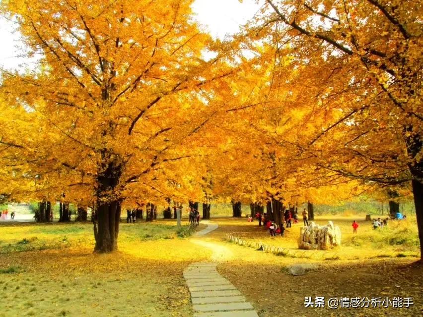 婚后老公和婆婆同住一张床,新婚之夜老公和婆婆聊天