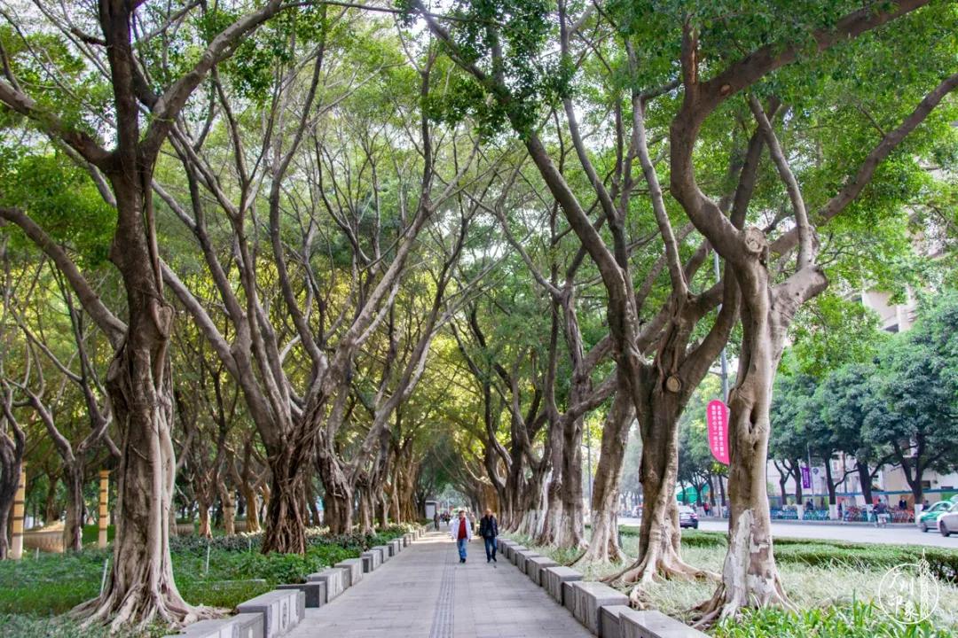 广州东站回忆,第一次来广州东站必去的地方