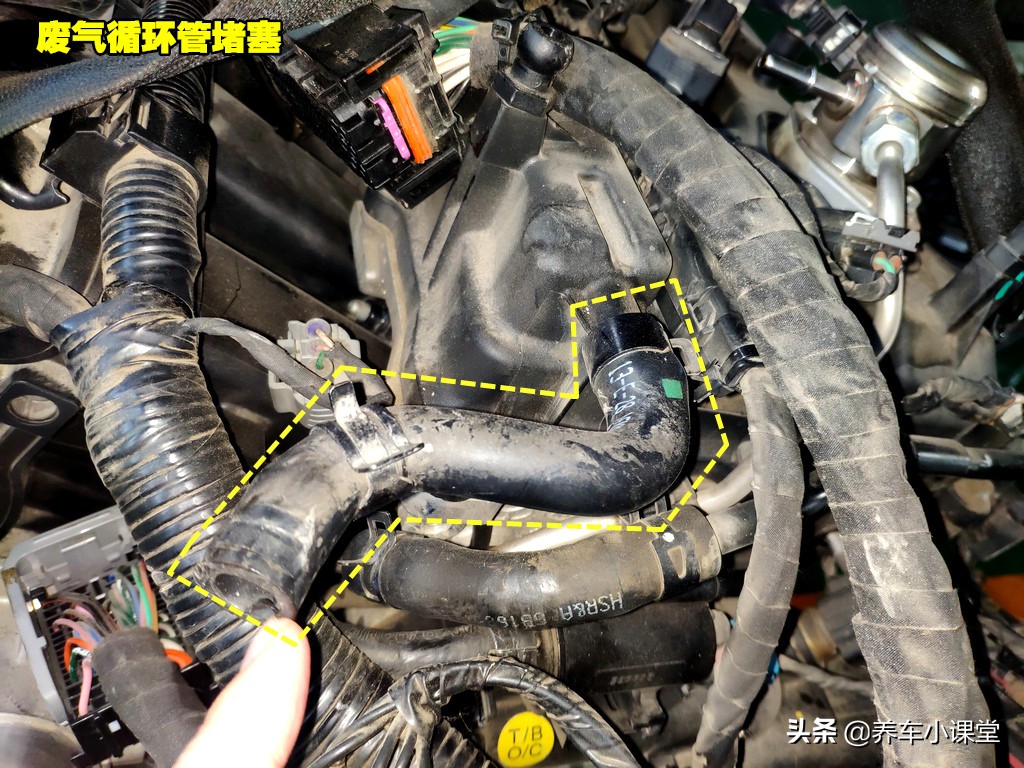 为啥机油漏油很难解决,曲轴后油封漏油与机油有关系吗