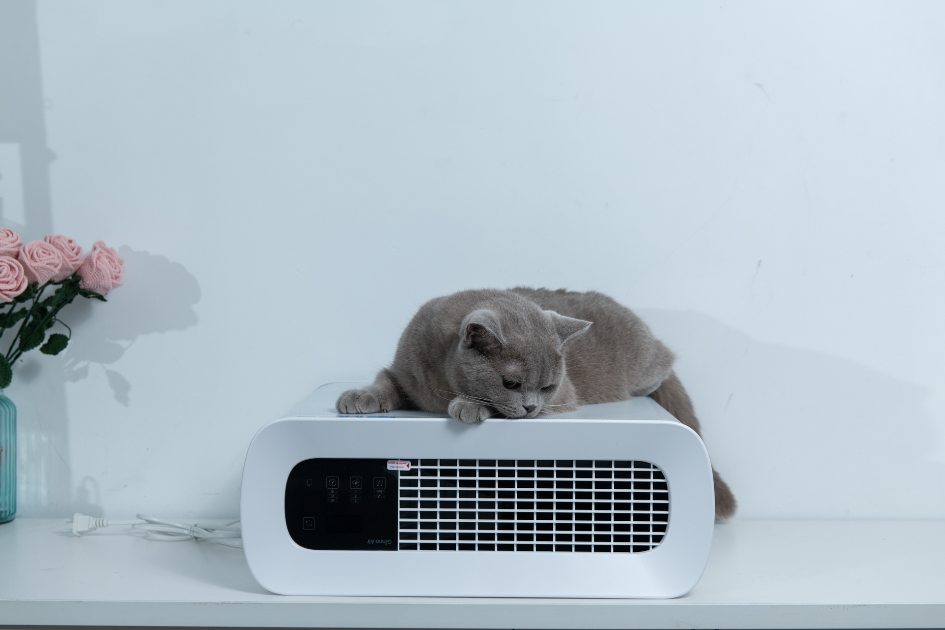 吉若奥mini空气净化器,吉若奥空气净化器测评