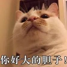 抓拍的变造机动车号牌怎么处罚,伪造变造机动车号牌的扣几分