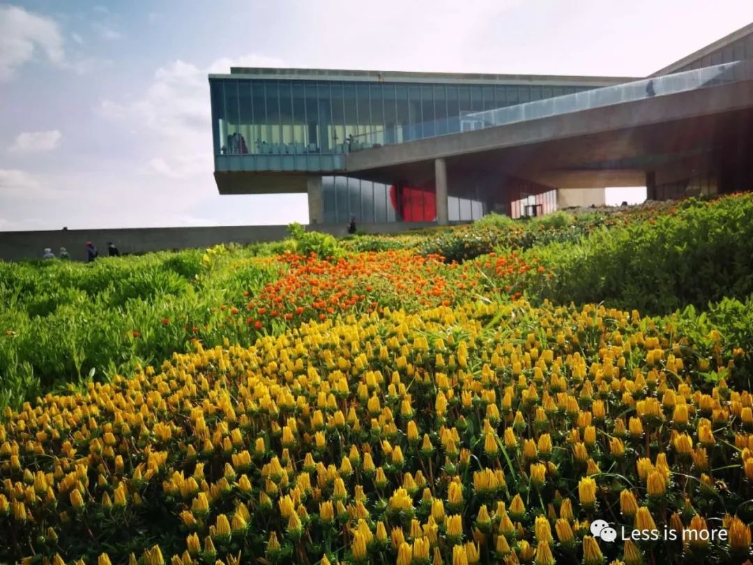 韩国济州岛超详细旅游规划攻略,韩国济州岛攻略自由行