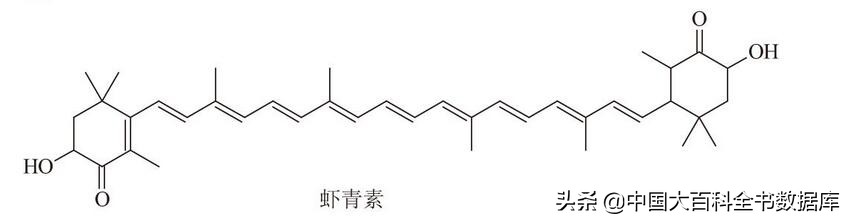 煮熟的虾和蟹为什么会变红,虾蟹煮熟后为什么会变红