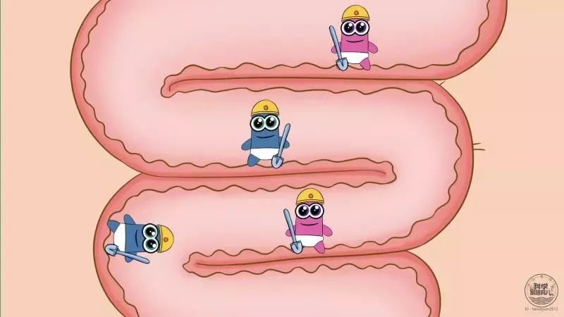 宝宝肚皮圆鼓鼓的是不是吃饱了,不要小看宝宝肚子疼