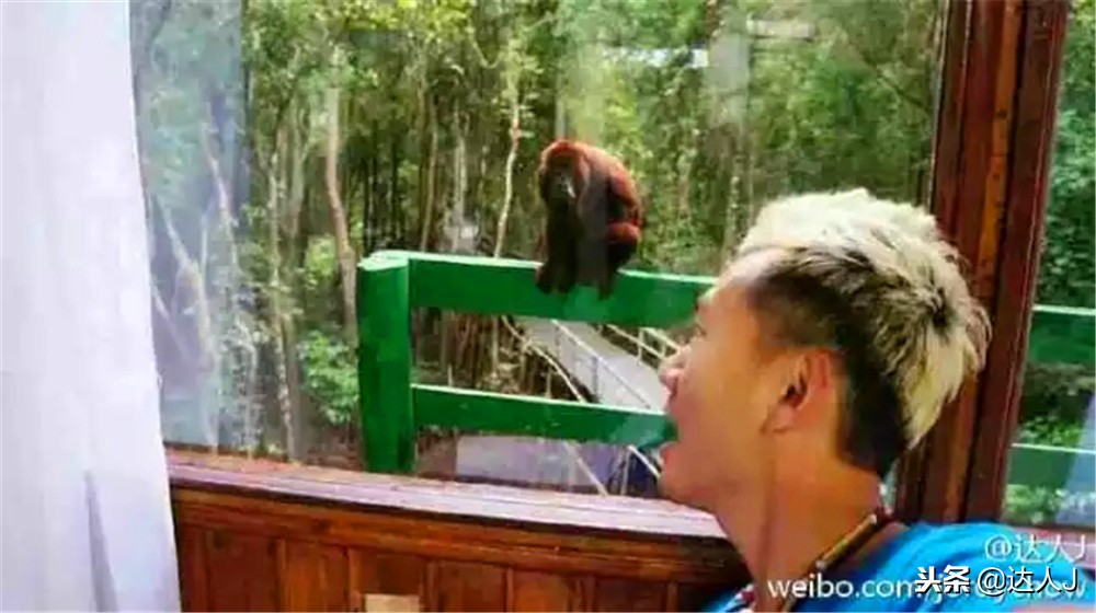 全国10大特色酒店,全国十大最具特色酒店