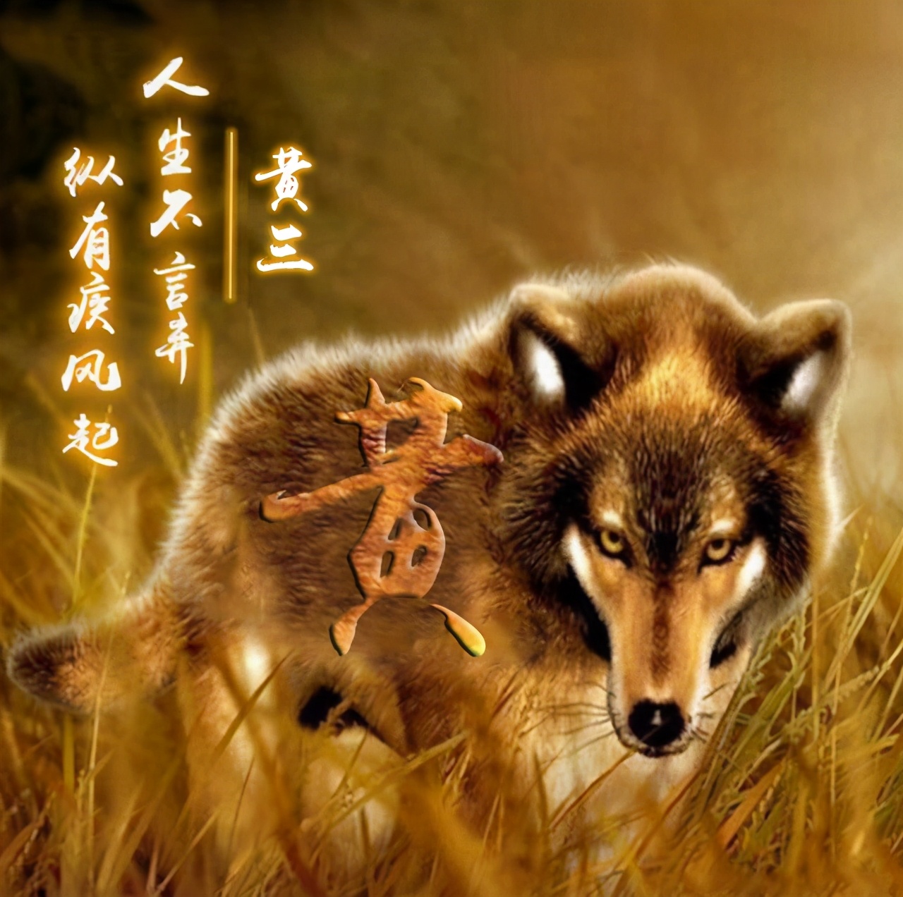 最新版的微信头像图姓氏,你的微信头像换了人还在吗