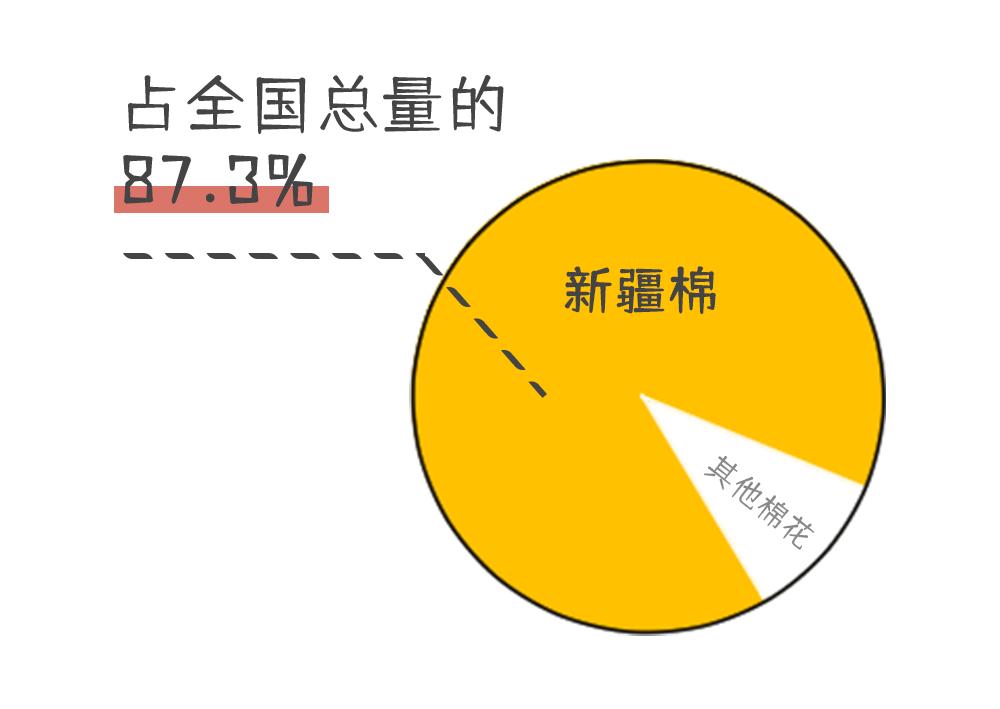 养活大量人口的粮食作物,正宗新疆新棉花大量上市