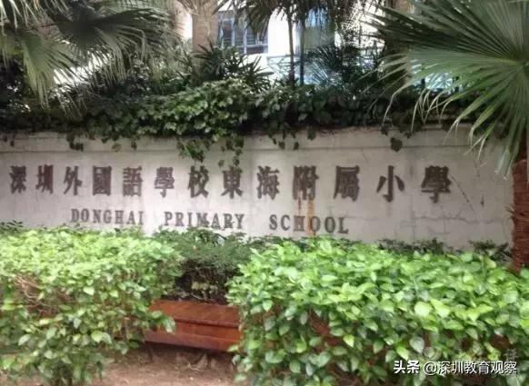 深圳福田小学排名一览表,八一八小学