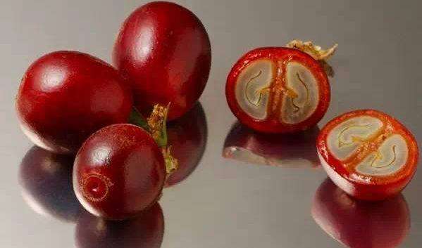 猫屎咖啡有多奇葩,奇葩口味的咖啡