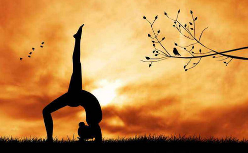 瑜伽数码服,弹力瑜伽服印花