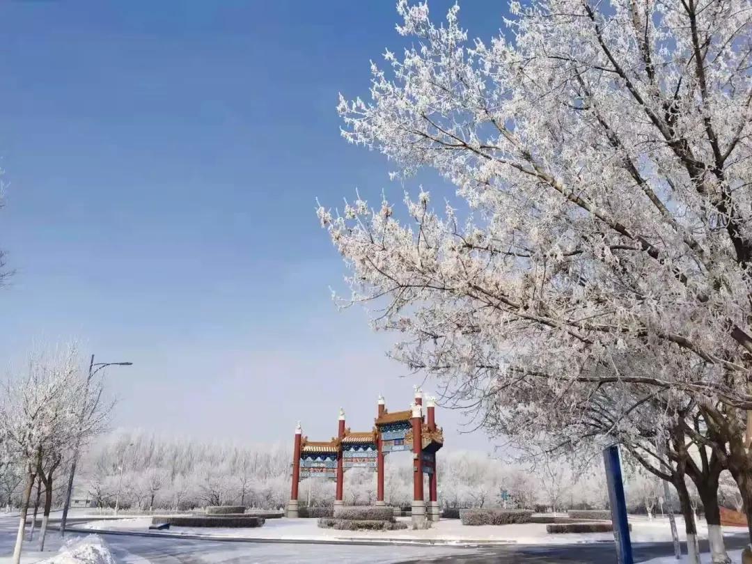 沈阳化工大学辽宁省排名,沈阳化工大学2020招生计划辽宁省