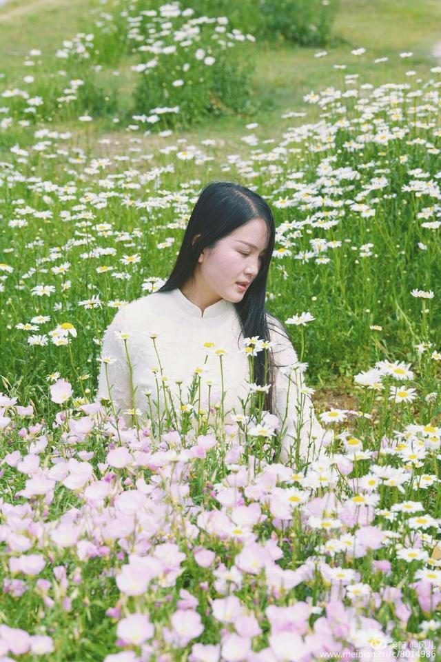 大美新蔡生态水城,大美新蔡等你来