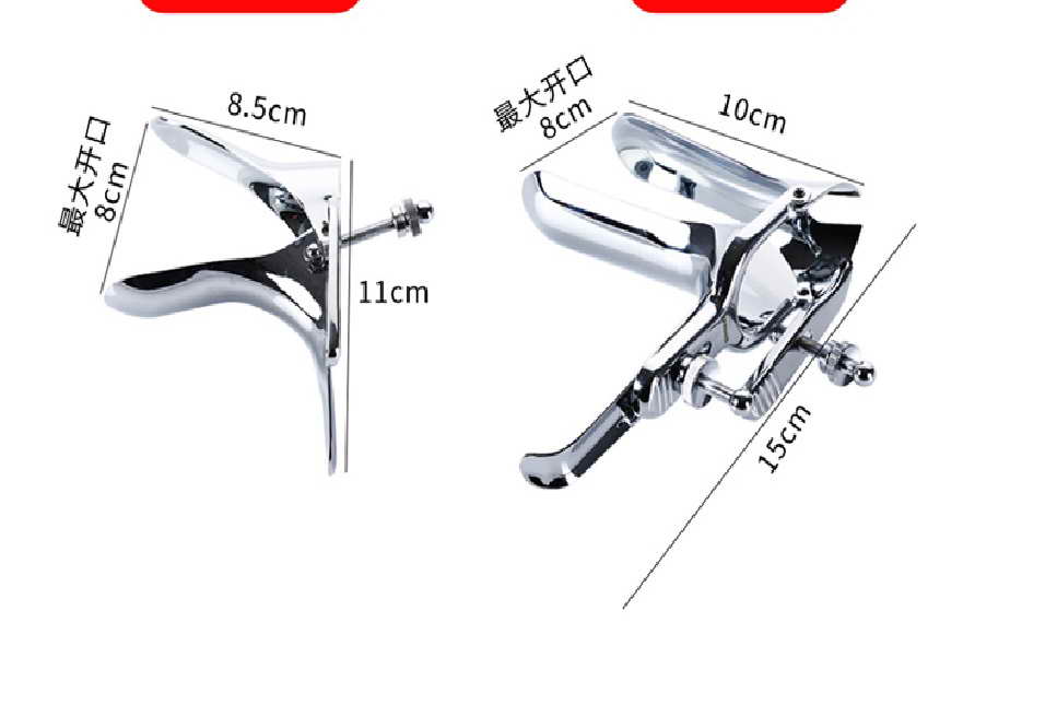 中国龙原型,中国龙的原型是什么