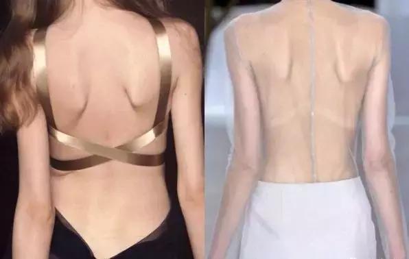 健身美背的方法,新手健身怎么练美背