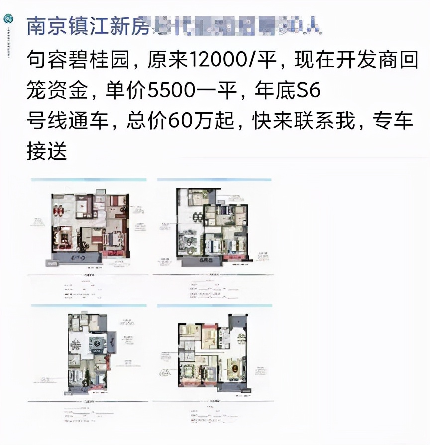 碧桂园的风险以及应对措施,碧桂园风险预测